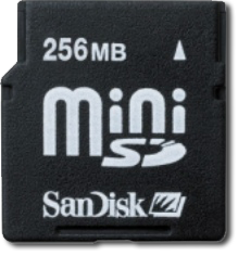 256